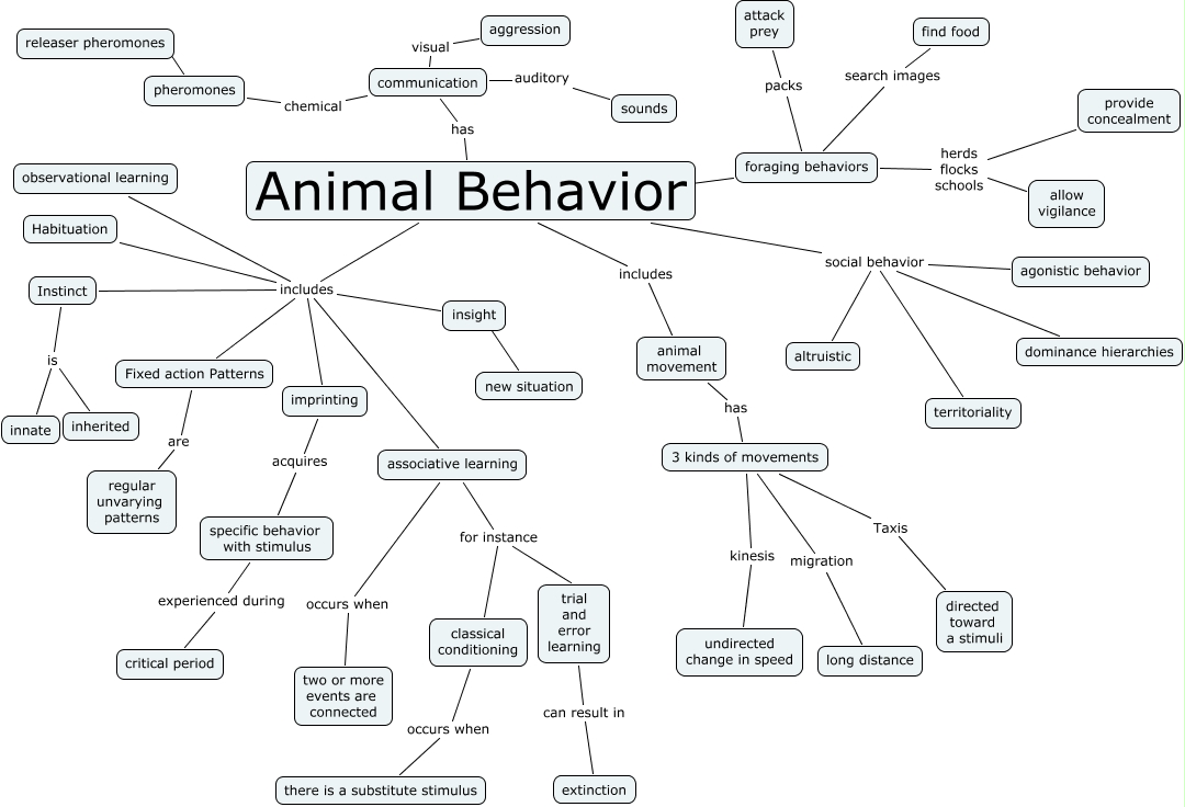 animal behavior